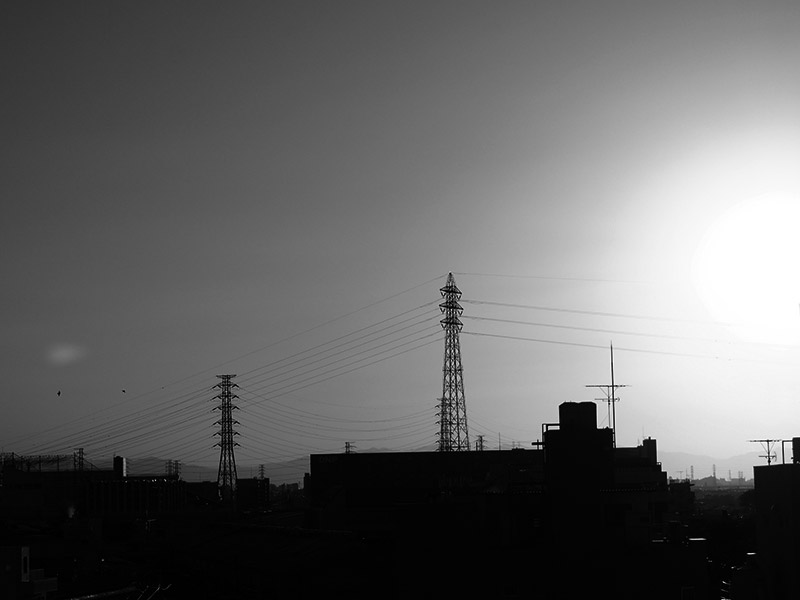 本社屋上風景